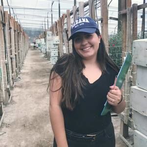 Meet your Posher, Diana